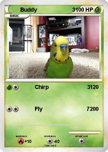 Pokemon Buddy                        3