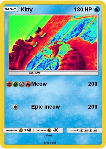 Pokemon Kitty