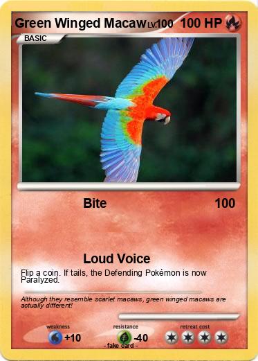 Pokemon Green Winged Macaw