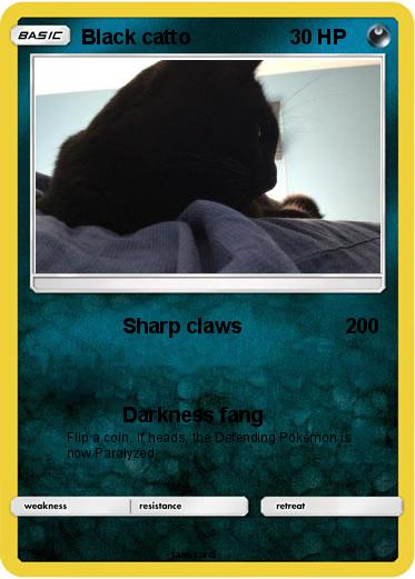 Pokemon Black catto