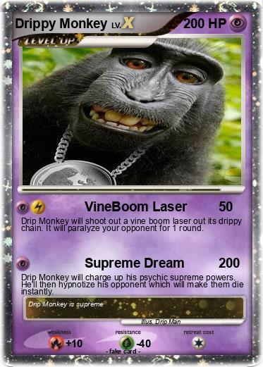 Pokemon Drippy Monkey