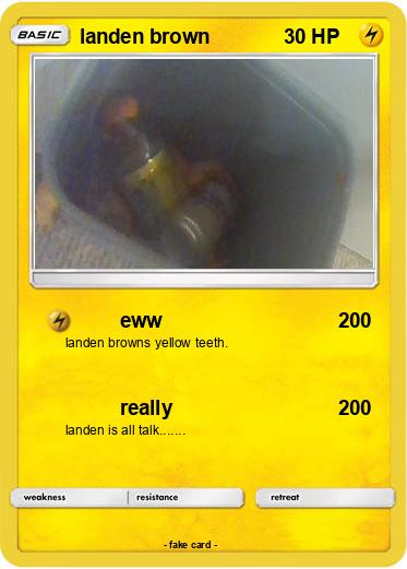 Pokemon landen brown