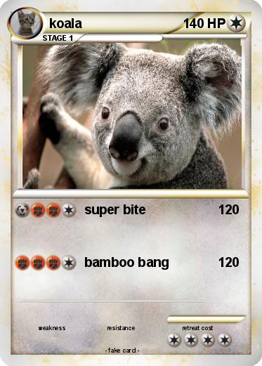 Pokemon koala