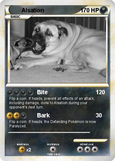 Pokemon Alsation
