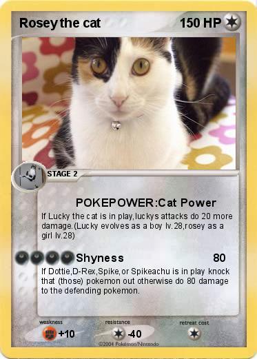 Pokemon Rosey the cat