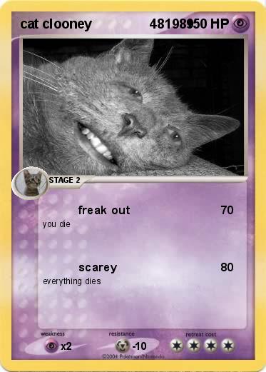 Pokemon cat clooney                481989