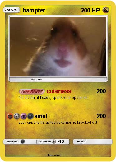 Pokemon hampter