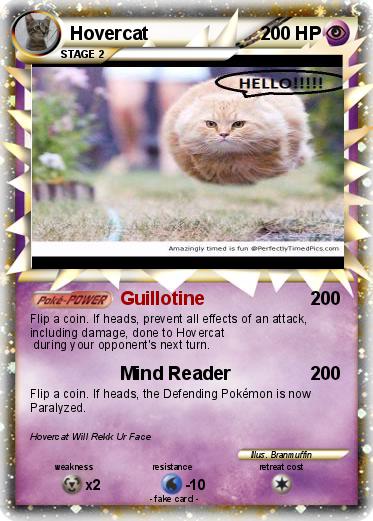 Pokemon Hovercat