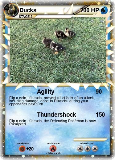 Pokemon Ducks