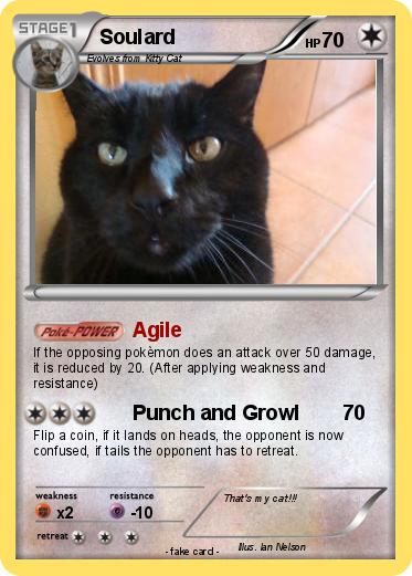 Pokemon Soulard