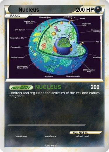 Pokemon Nucleus