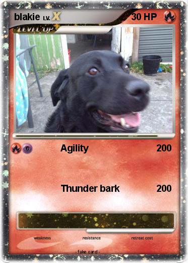 Pokemon blakie