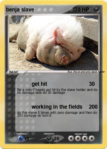 Pokemon benja slave