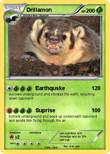 Pokemon Drillamon
