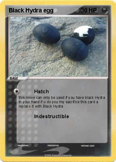 Pokemon Black Hydra egg
