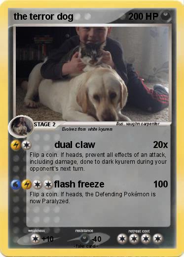 Pokemon the terror dog
