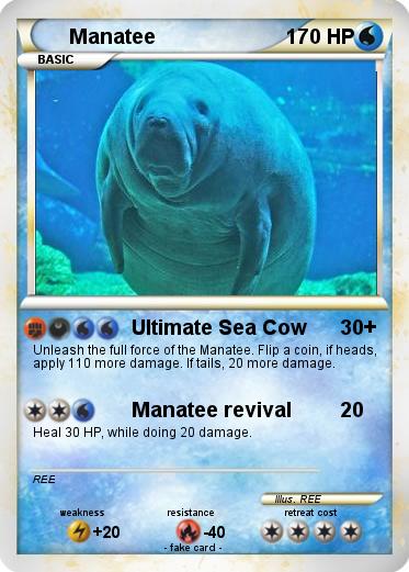 Pokemon Manatee