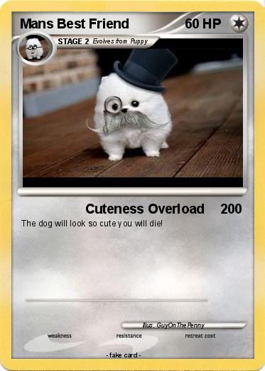 Pokemon Mans Best Friend