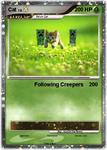 Pokemon Cat