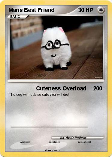 Pokemon Mans Best Friend