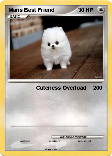 Pokemon Mans Best Friend