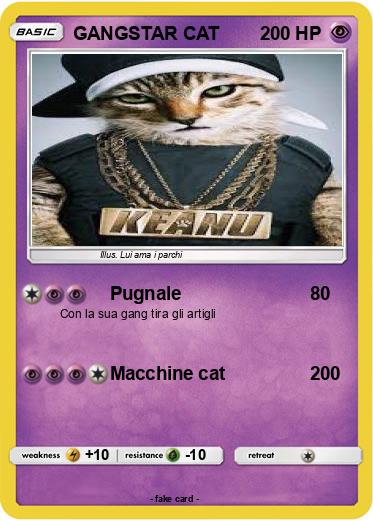 Pokemon GANGSTAR CAT