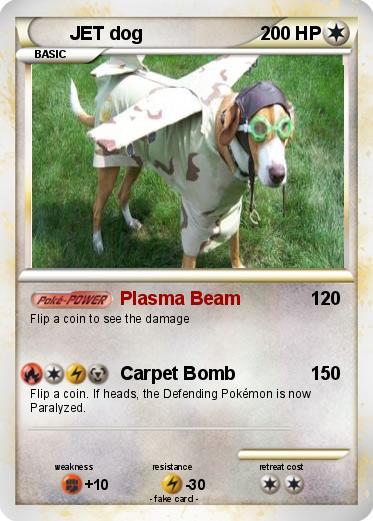 Pokemon JET dog