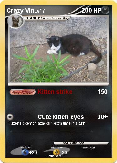 Pokemon Crazy Vin