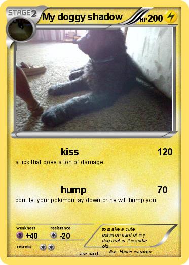 Pokemon My doggy shadow