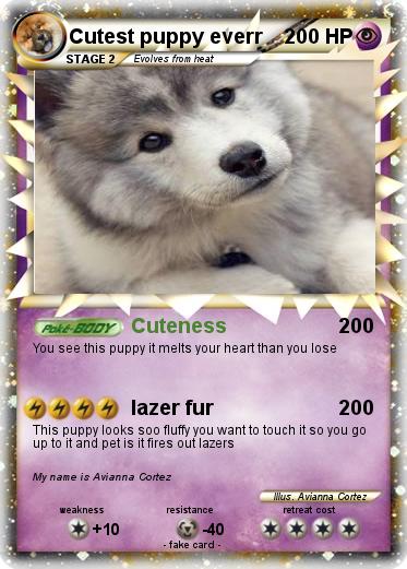 Pokemon Cutest puppy everr
