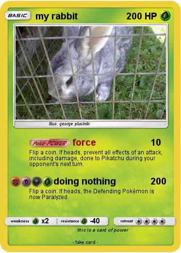 Pokemon my rabbit