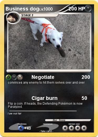 Pokemon Business dog