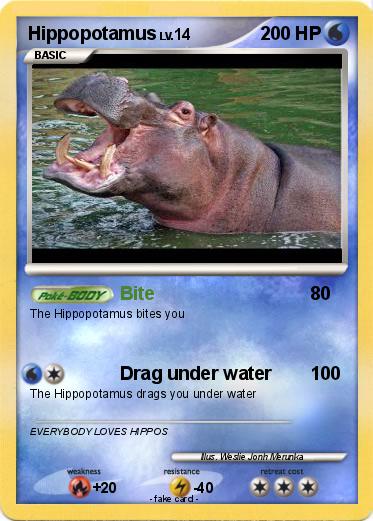 Pokemon Hippopotamus