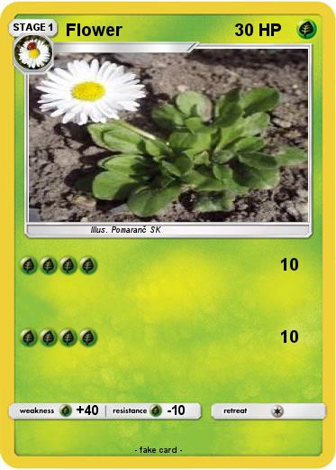 Pokemon Flower
