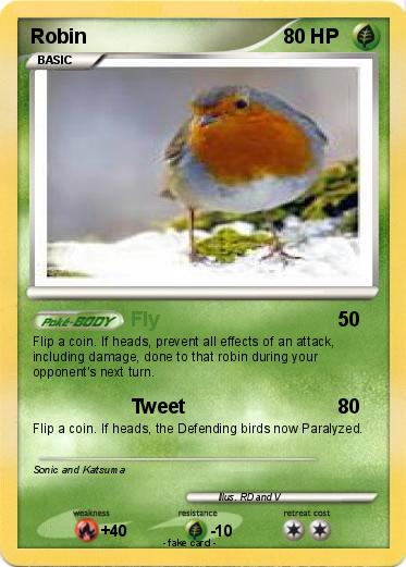 Pokemon Robin