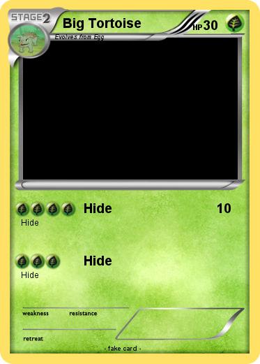 Pokemon Big Tortoise