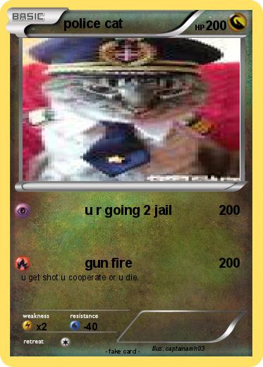 Pokemon police cat