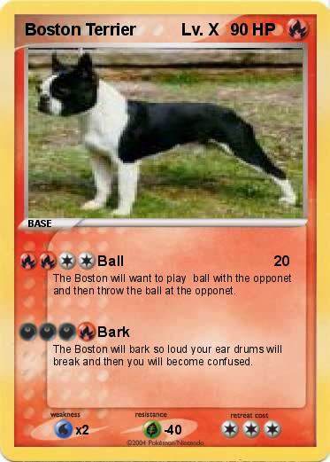 Pokemon Boston Terrier          Lv. X