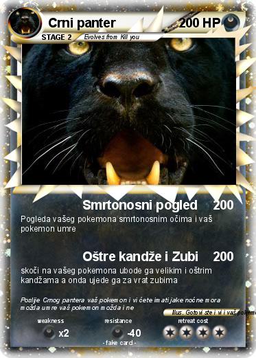Pokemon Crni panter