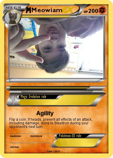 Pokemon Meowiam
