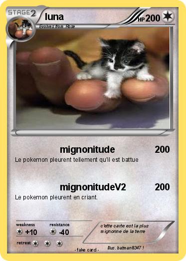 Pokemon luna