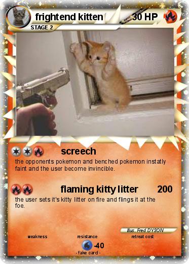 Pokemon frightend kitten
