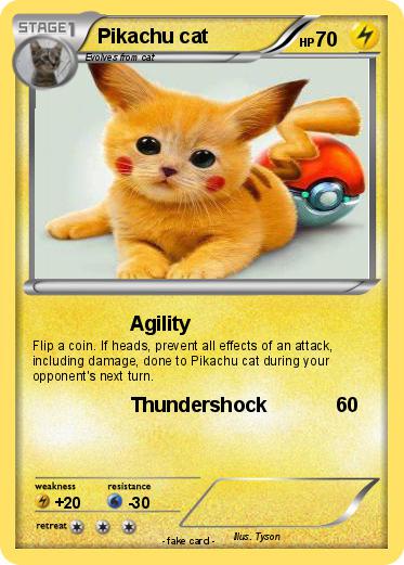 Pokemon Pikachu cat