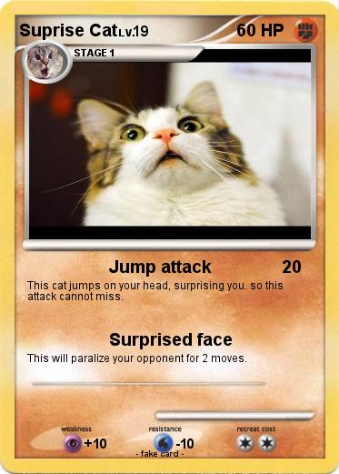 Pokemon Suprise Cat