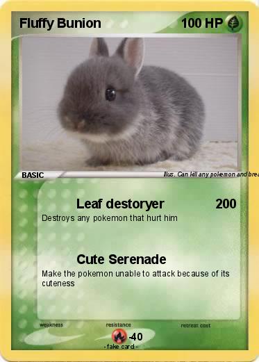 Pokemon Fluffy Bunion