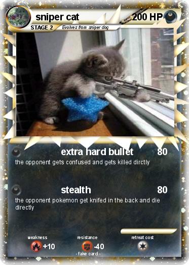 Pokemon sniper cat