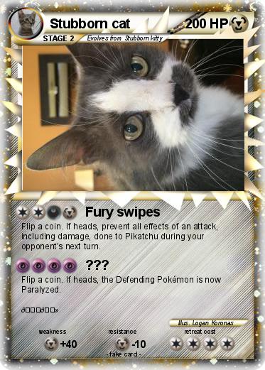 Pokemon Stubborn cat
