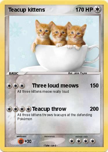 Pokemon Teacup kittens