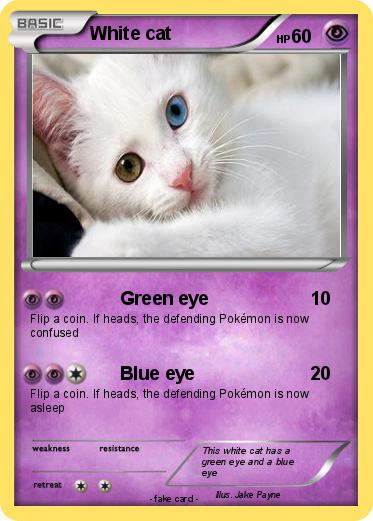 Pokemon White cat