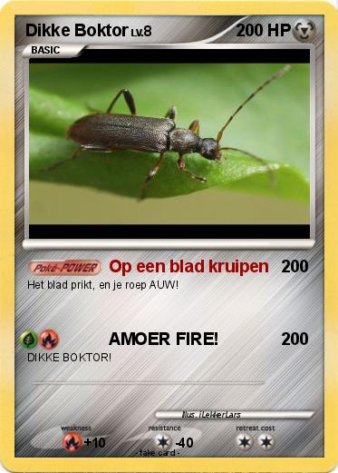 Pokemon Dikke Boktor